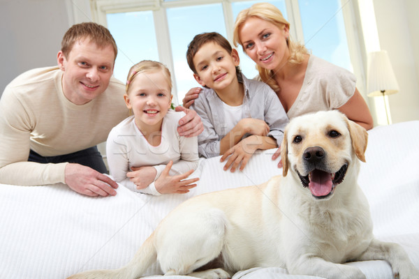 Stock photo: Pet