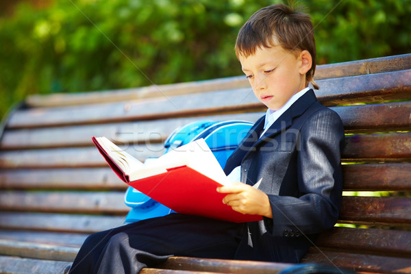 Iskola portré okos fiú ül park Stock fotó © pressmaster