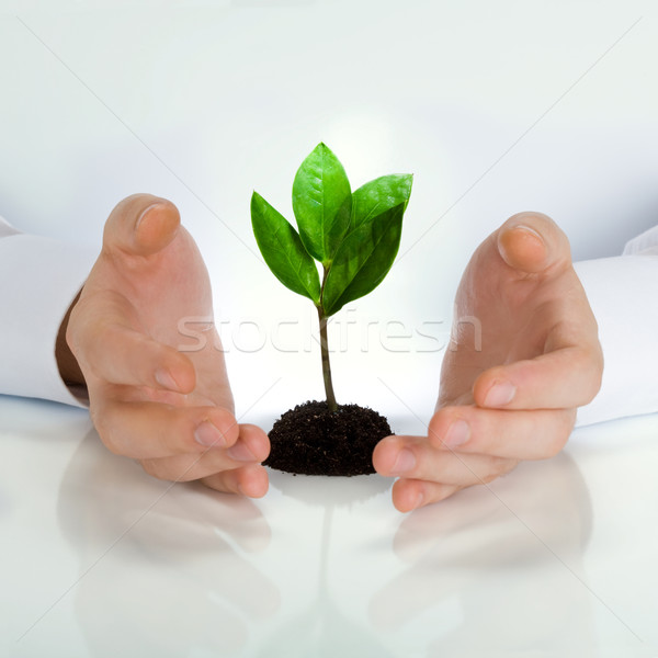 Imagine verde plantă om de afaceri afaceri mână Imagine de stoc © pressmaster