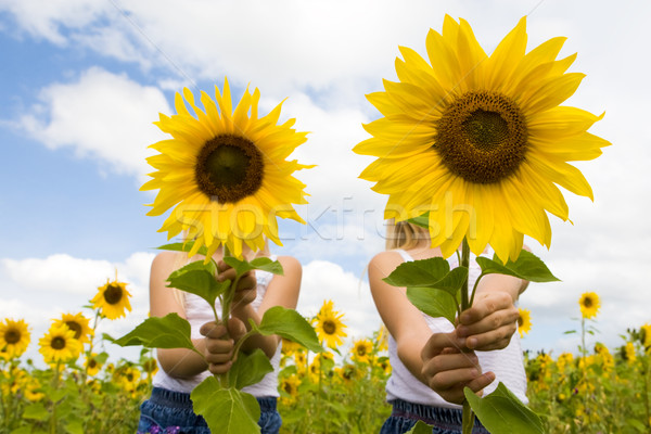 Stockfoto: Achter · zonnebloemen · portret · cute · meisjes · verbergen