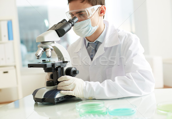 Stockfoto: Studeren · nieuwe · ernstig · onderzoeker · chemische