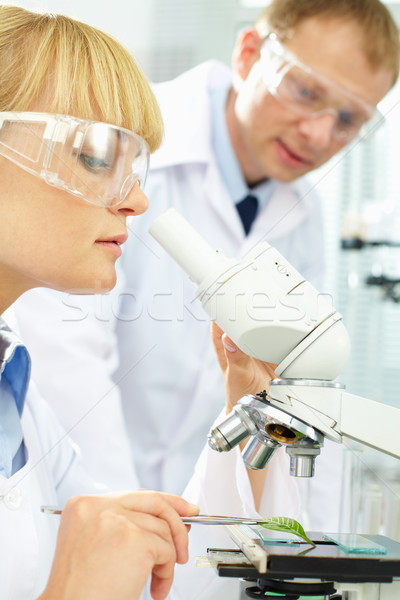 Working biochemist Stock photo © pressmaster