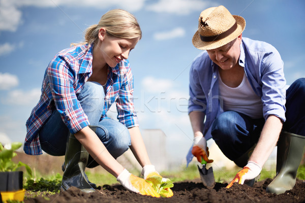 Kiemplant planten afbeelding paar boeren hemel Stockfoto © pressmaster