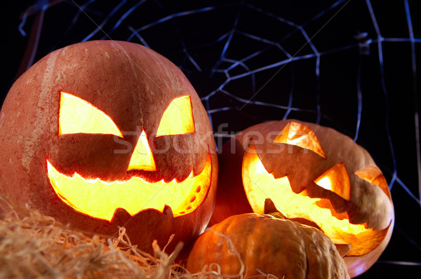 Halloween gourds Stock photo © pressmaster