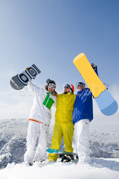 Winnaars portret drie geslaagd armen berg Stockfoto © pressmaster