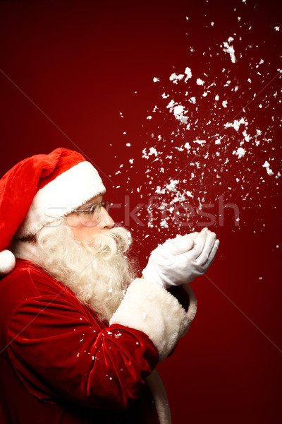 Christmas wonder Stock photo © pressmaster