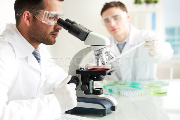 Clinical study Stock photo © pressmaster