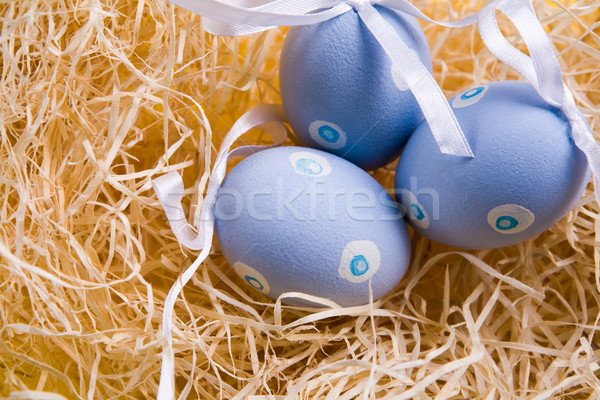 Eggs in nest Stock photo © pressmaster