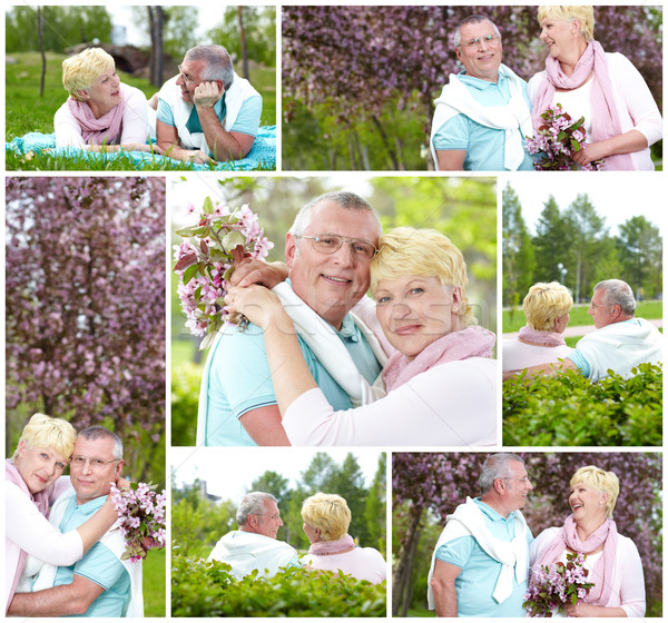 Loisirs parc collage heureux maturité couple [[stock_photo]] © pressmaster
