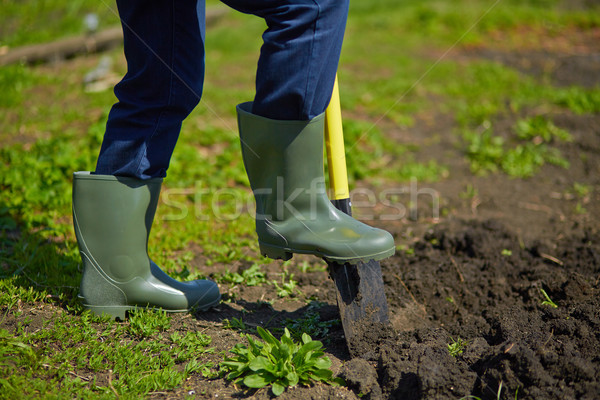 [[stock_photo]]: Image · Homme · agriculteur · herbe · domaine · ferme