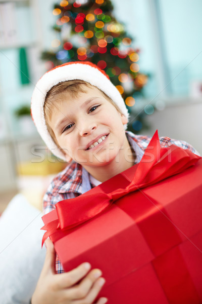 Stock foto: Weihnachten · vorliegenden · Porträt · heiter · Junge · groß