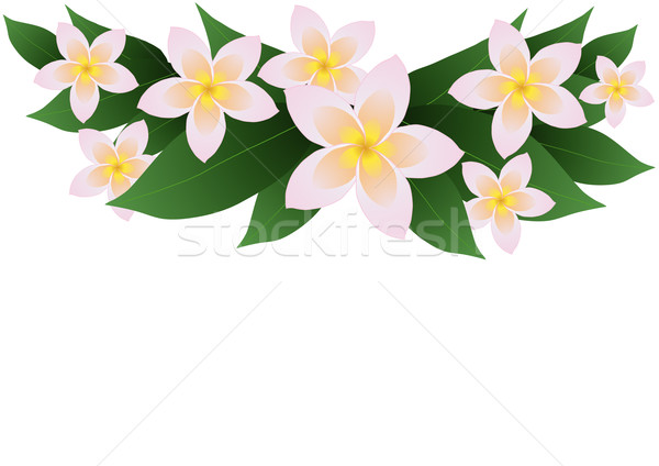 frangipani plumeria border     Stock photo © pressmaster