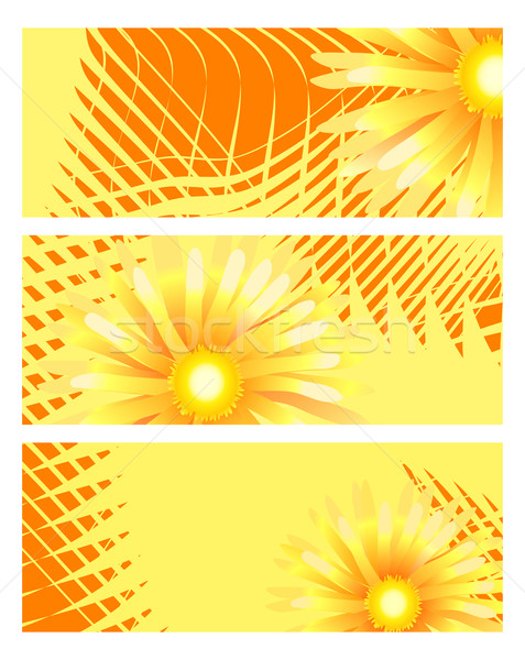 Stock foto: Golden · Blumen · Sammlung · sonnig · Banner · Frühling