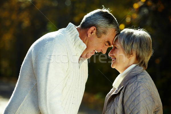 Romantique temps photo amoureuse couple de personnes âgées parc [[stock_photo]] © pressmaster