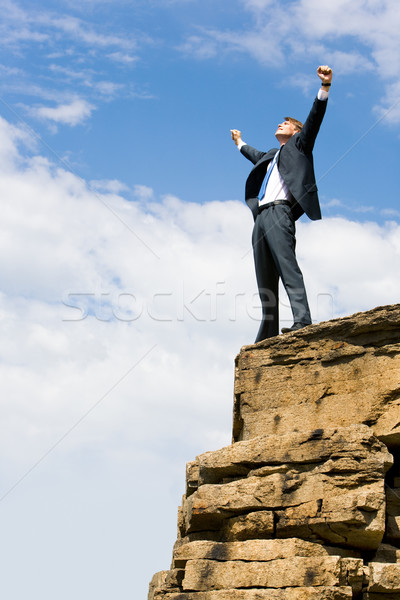 Siker kép elragadtatott üzletember áll csúcs Stock fotó © pressmaster
