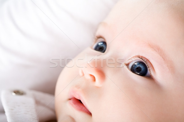 Inocente mirar primer plano recién nacido bebé ojos azules Foto stock © pressmaster