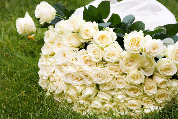 [[stock_photo]]: Luxueux · bouquet · grand · blanche · rose