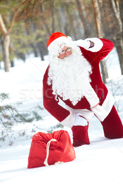 Perdu hiver forêt homme [[stock_photo]] © pressmaster