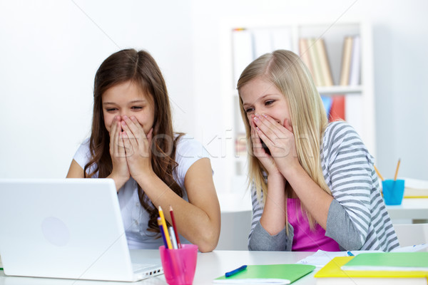 żart dwa śmiechem dziewcząt patrząc laptop Zdjęcia stock © pressmaster