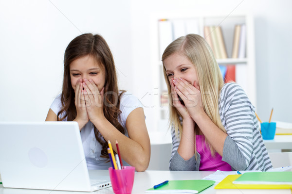 Stock foto: Witz · zwei · lachen · Mädchen · schauen · Laptop