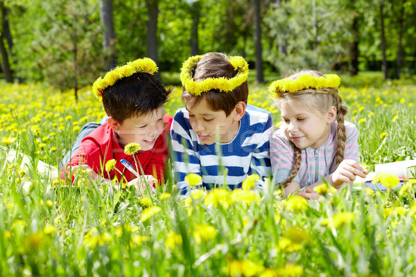 Temps libre trois enfants pissenlit herbe amis [[stock_photo]] © pressmaster