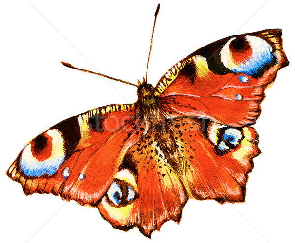 Stock photo: Bright butterfly