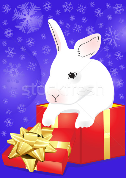 rabbit with blue giftbox Stock photo © pressmaster