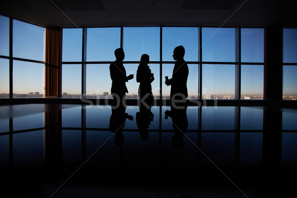 Business conversation Stock photo © pressmaster