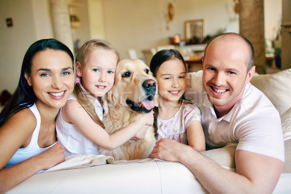 幸福 幸福的家庭 四 狗 看 相機 商業照片 © pressmaster