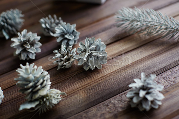 Christmas woods Stock photo © pressmaster