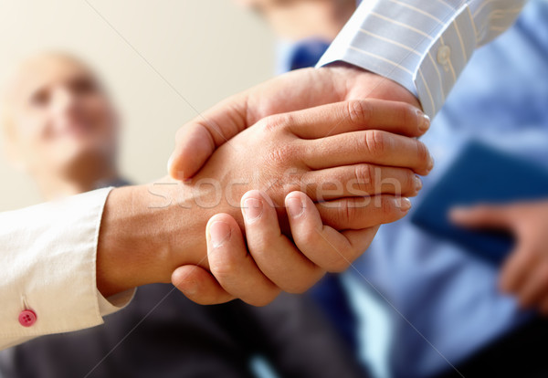 Accord image affaires handshake main [[stock_photo]] © pressmaster