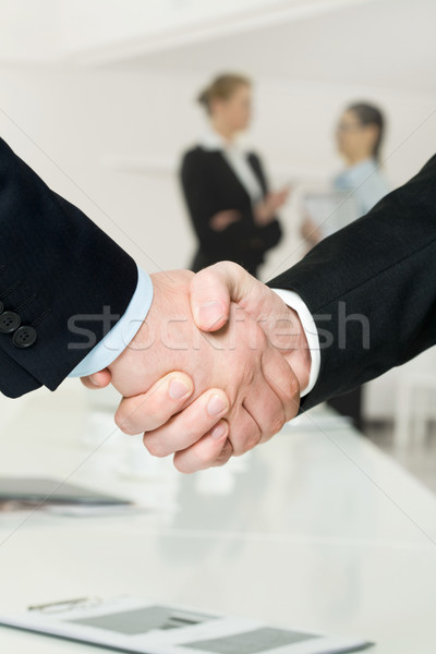 Business support Stock photo © pressmaster
