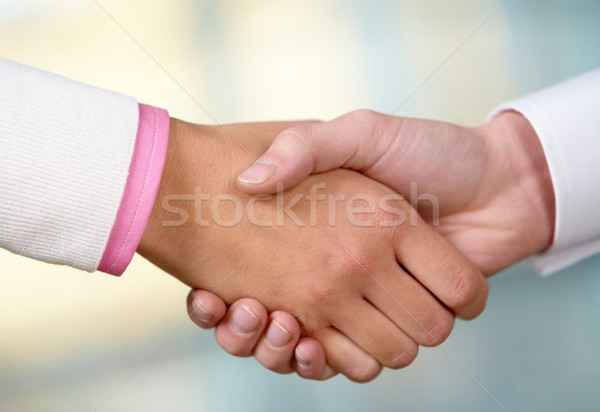 Handshake Stock photo © pressmaster