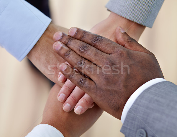 Companionship Stock photo © pressmaster