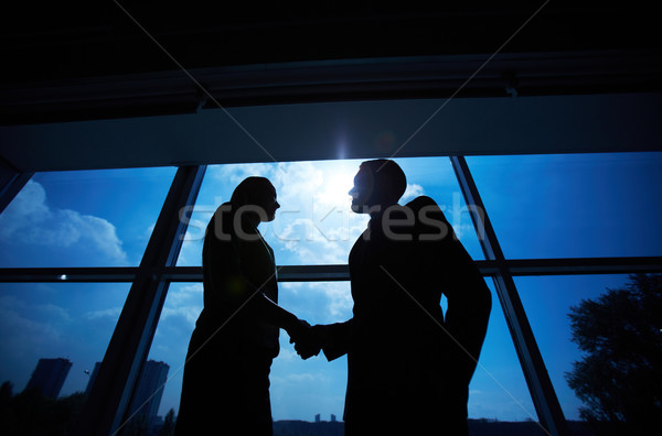 Business partners handshaking Stock photo © pressmaster