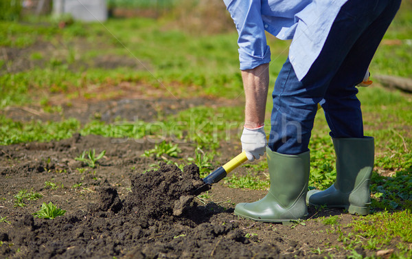 [[stock_photo]]: Image · Homme · agriculteur · herbe · domaine · ferme