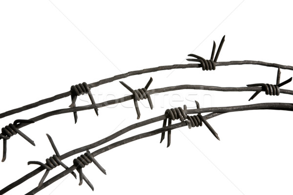 Wire prickles Stock photo © pressmaster