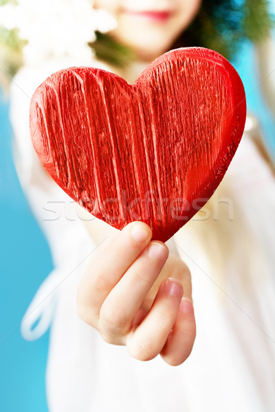 Fából készült szív közelkép lány tart piros Stock fotó © pressmaster