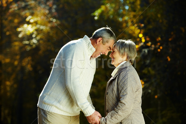 Stockfoto: Najaar · romantiek · foto · park · familie