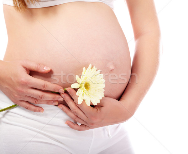 Gyengédség közelkép terhes nő tart fehér virág gyógyszer Stock fotó © pressmaster