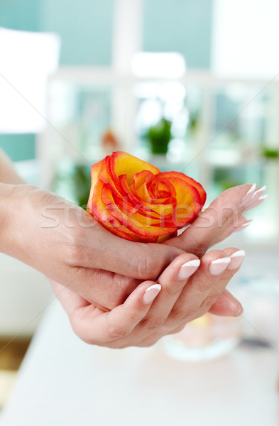 Prego estância termal feminino rosebud mãos Foto stock © pressmaster