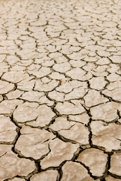 Dry ground Stock photo © pressmaster