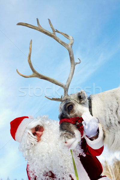 Santa and Rudolph  Stock photo © pressmaster