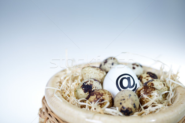 Eggs in nest Stock photo © pressmaster