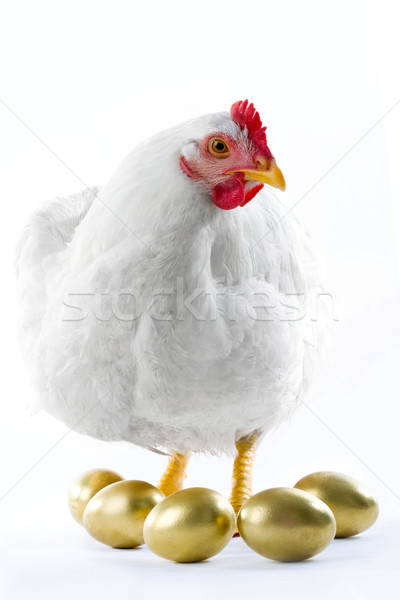 Stock fotó: Tyúk · kép · arany · tojások · húsvét · tojás