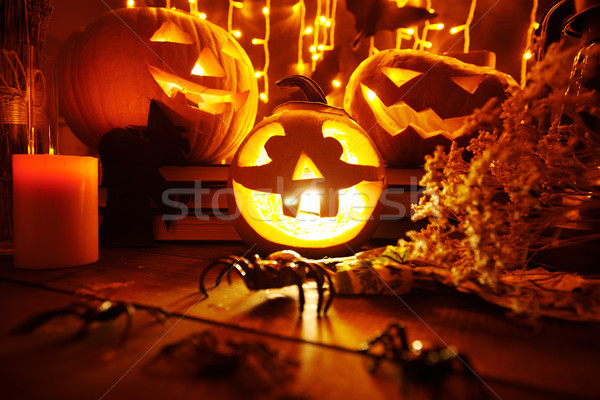 Halloween notte ragni asciugare erbe candela Foto d'archivio © pressmaster