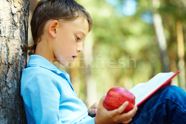 Nieuwsgierigheid portret smart jongen vergadering boomstam Stockfoto © pressmaster