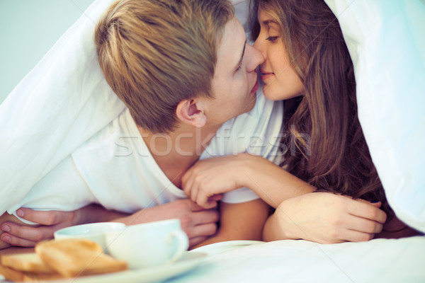 ölelkezés fiatal szerelmi pár csók pléd Stock fotó © pressmaster