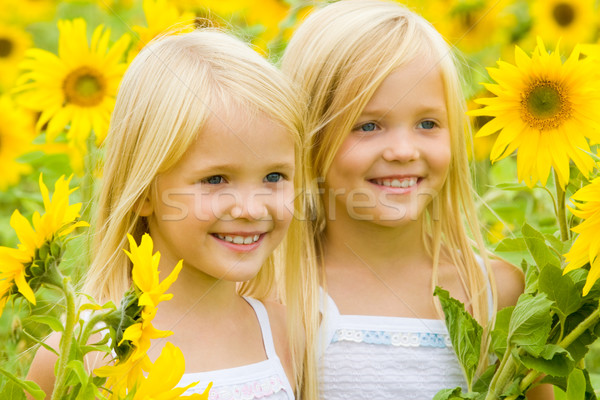 Floarea-soarelui fericire portret drăguţ femeie gemenii Imagine de stoc © pressmaster