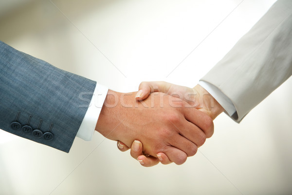 Handshake after striking deal Stock photo © pressmaster